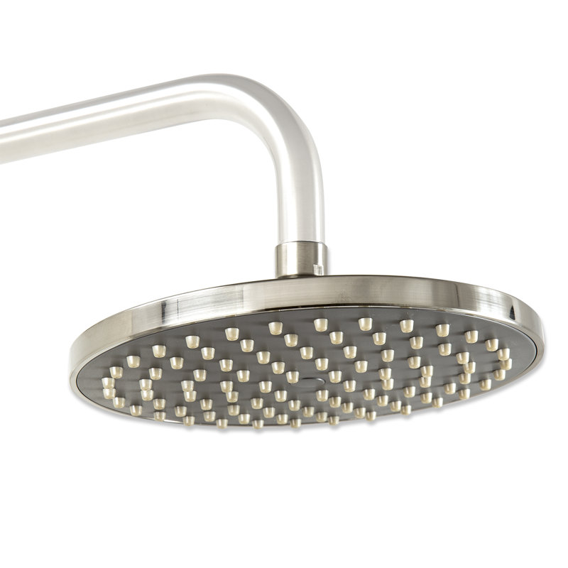Luxier Rain Fixed Shower Head & Reviews Wayfair